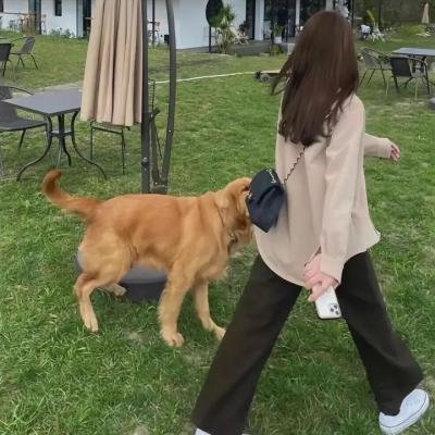 万劫红莲